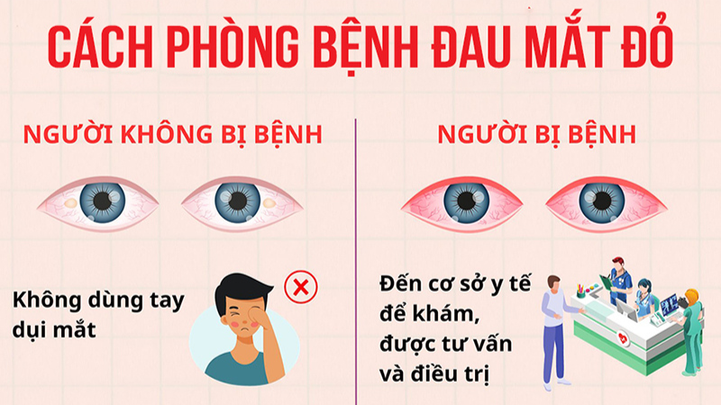 cách phòng bệnh đau mắt đỏ